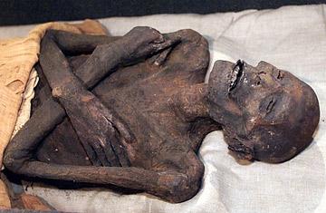 5. ˹ľ(Ramses Mummy)