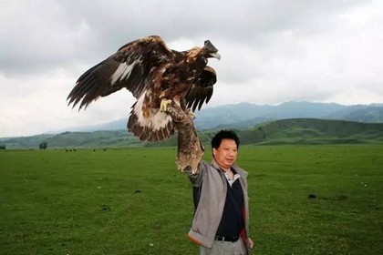 ï