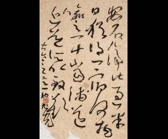 ⣺鷨гȨг