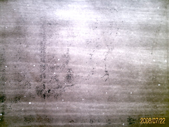 nWB9XY85.jpg