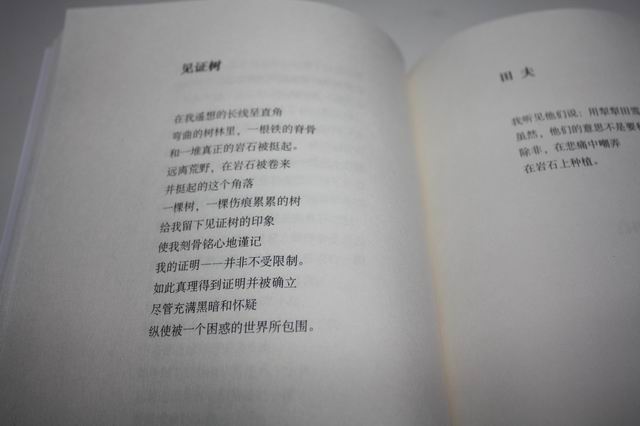 4d417dd1t9a860979fc7e&690.jpg