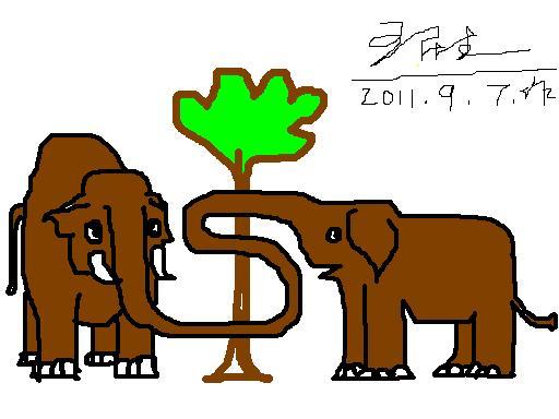 Ǯι01.JPG