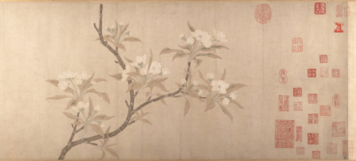 Ԫ Ǯѡ 滨ͼ 󶼻ݲ