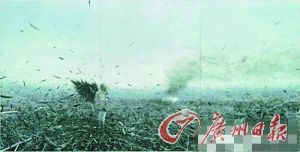 ҼͻƷ԰׵Ĳֻ㡷2012ոȵĴҹĳ550Ԫ