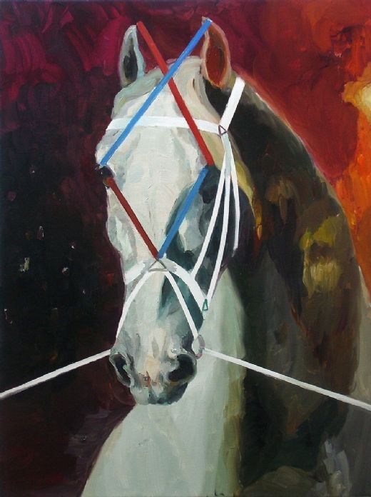 ͷ 2010 ͻ 80x60cm