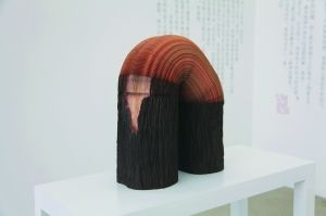 ��鲨��ľ�ն���չ����ֽ�ŵ������Գ�Ϊ���Ա������ҪԪ��