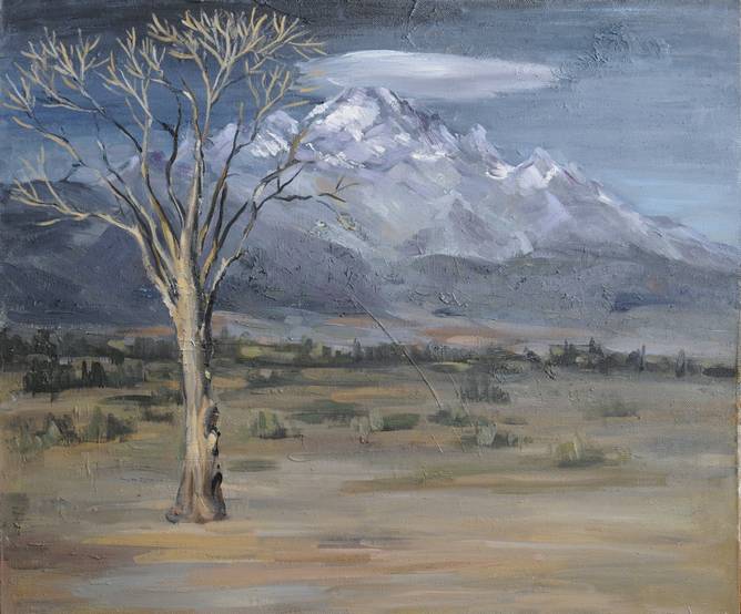 ɳҰ55x70 2011