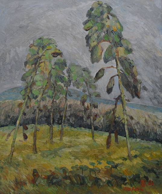 տ50X60 2010