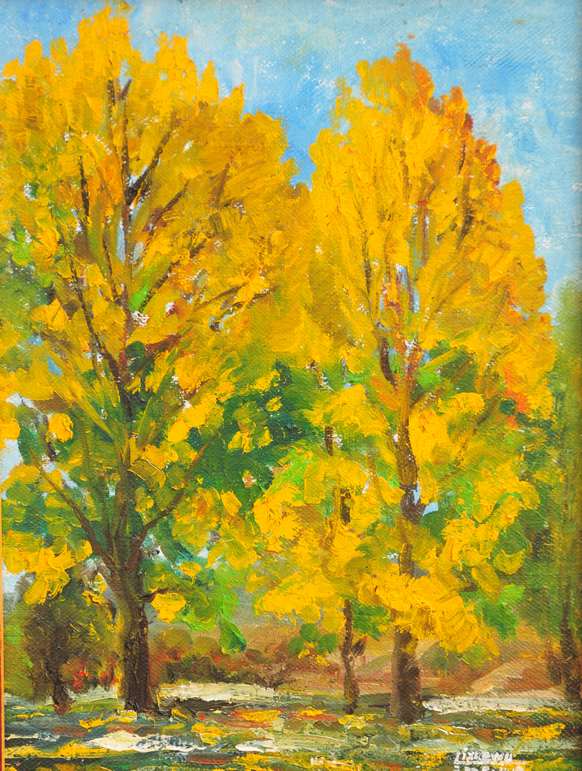 30x40 2009
