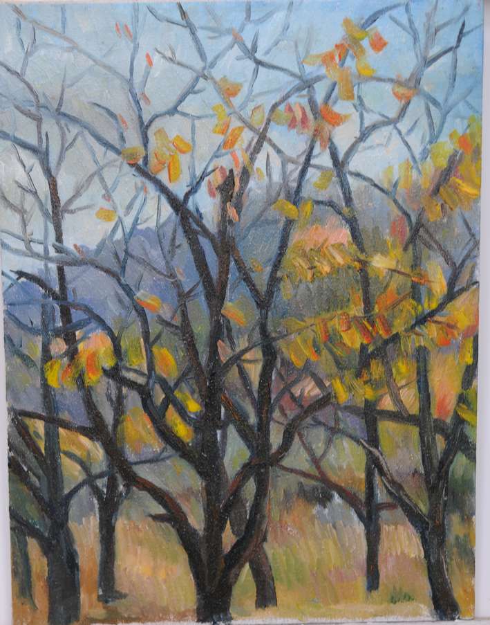30x40 2009