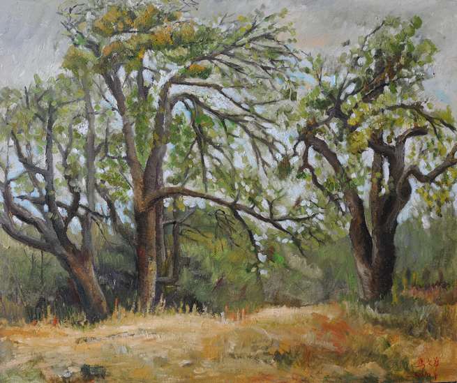60x70 2010