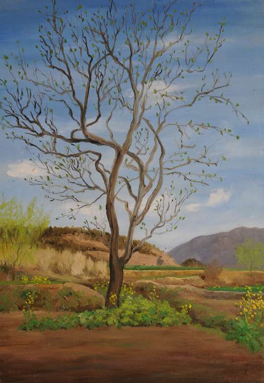 ϴ50x70 2011