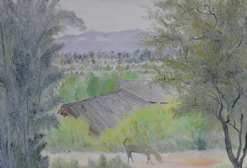 55X70 2009