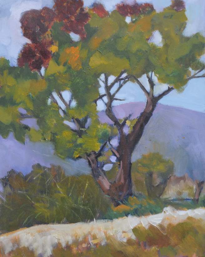 ڵ30x20 2009
