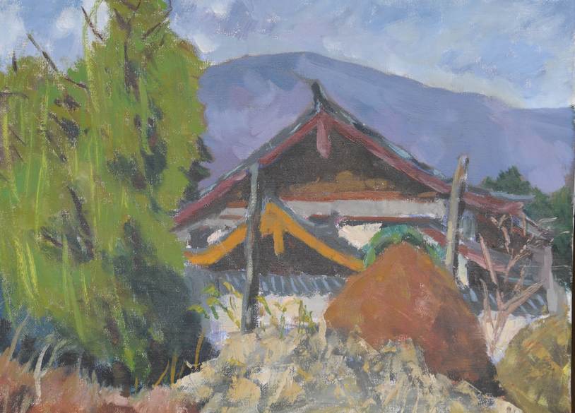 ľŴ20x30 2009
