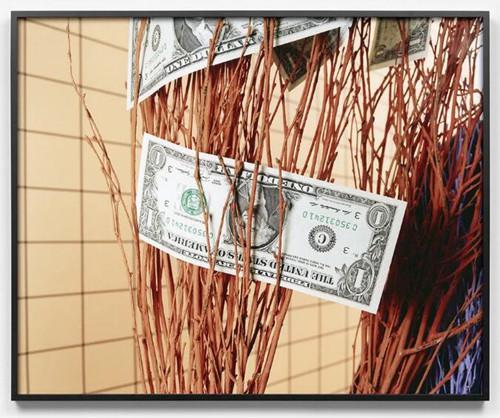 Annette Kelm. Dollar / Upside Down, 2016