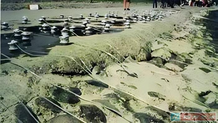 ͼ 2  6 Żˮװã1997 